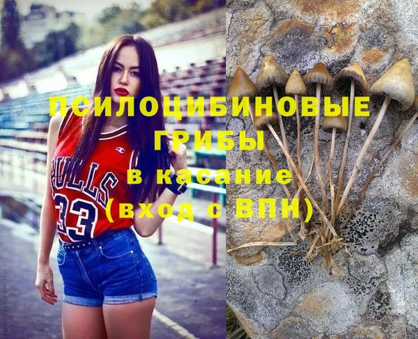 соль ск Майский