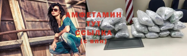 амф Магас