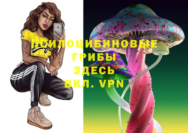 первитин Лиски