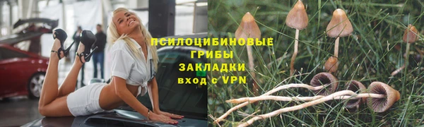 mdpv Магадан