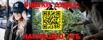 apvp Кандалакша