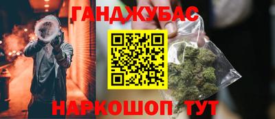 гидра Камышлов