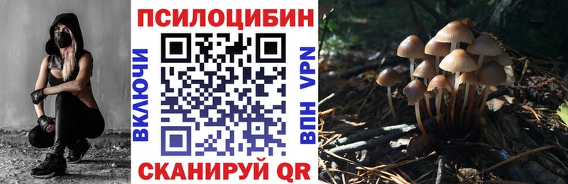 где найти наркотики  hydra вход  Галлюциногенные грибы MAGIC MUSHROOMS  Кубинка 