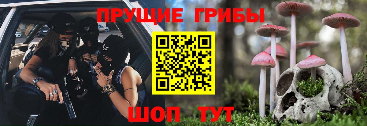 Галлюциногенные грибы мицелий  Псилоцибиновые грибы прущие грибы  Кубинка  Вход с VPN 